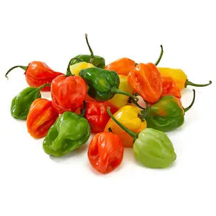 Pepper - Habanero