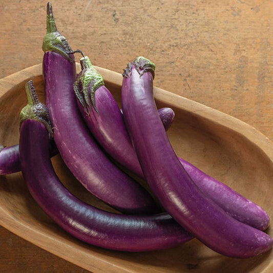 Eggplant – Asian Delight