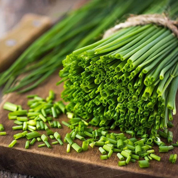 Herb – Chives