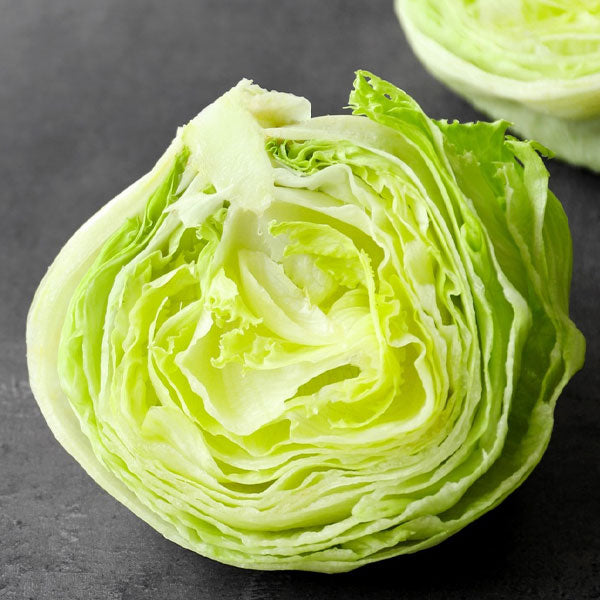 Iceberg Lettuce