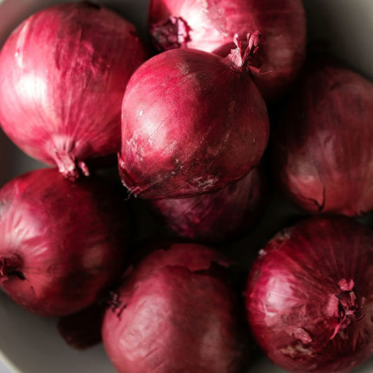 Onion – Red
