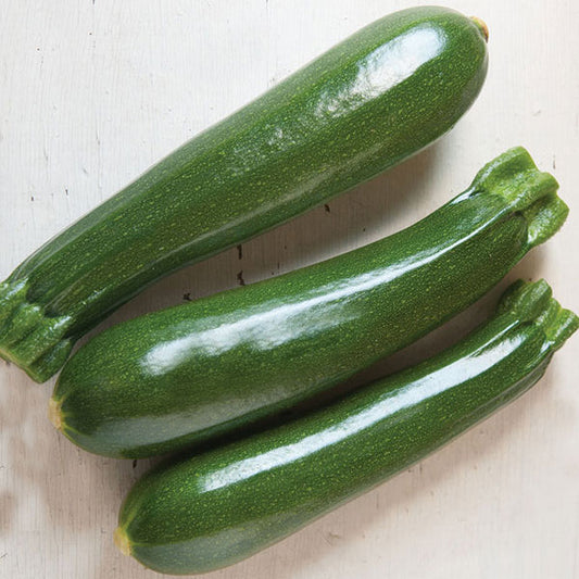 Zucchini (green)