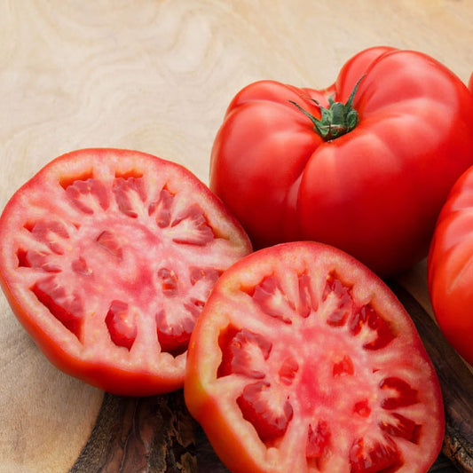 Tomato – Beefsteak