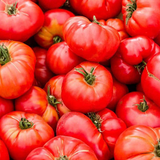 Tomato – Brandywine