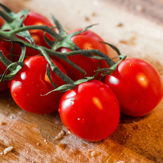 Tomato – Cherry