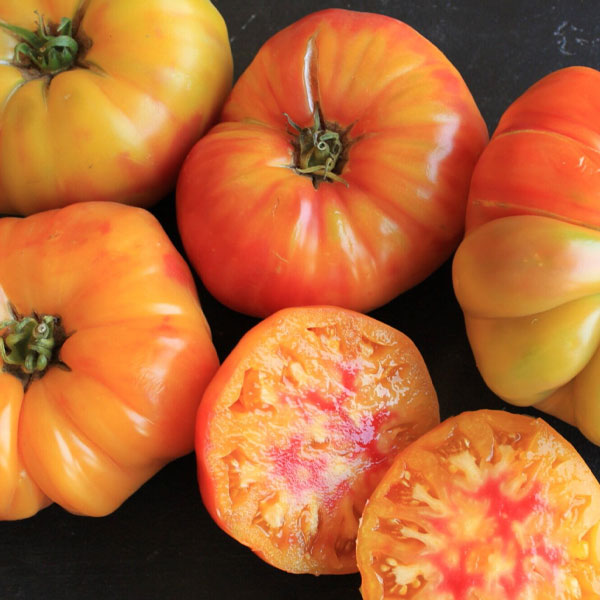 Tomato – Striped German